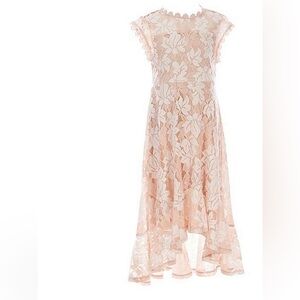 High-Low Maxi Dress in Blush